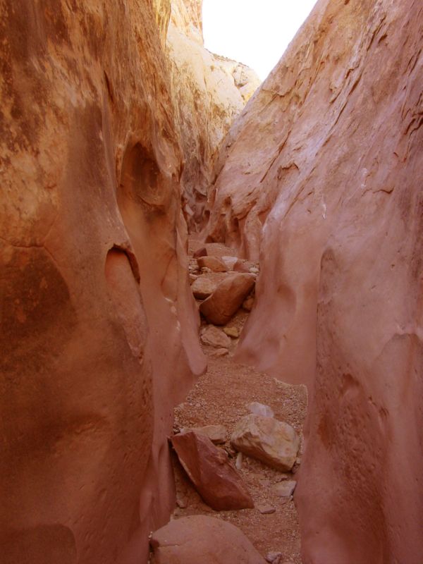 04160302LittleWildHorse (1112)